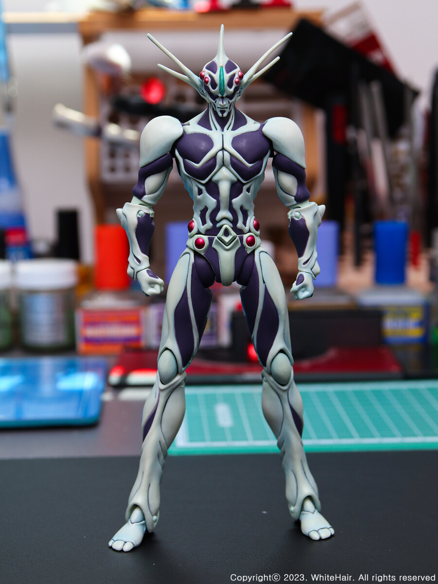 맥스팩토리 BFC 무라카미_9.jpg