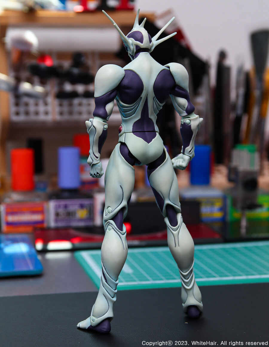 맥스팩토리 BFC 무라카미_11.jpg