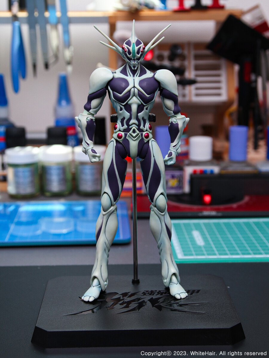 맥스팩토리 BFC 무라카미_16.jpg