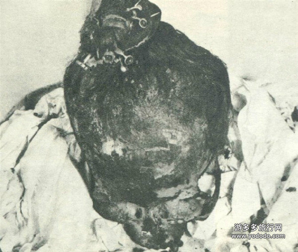 삼국지 유선이 수십년 동안 폐위 안된게 업적임