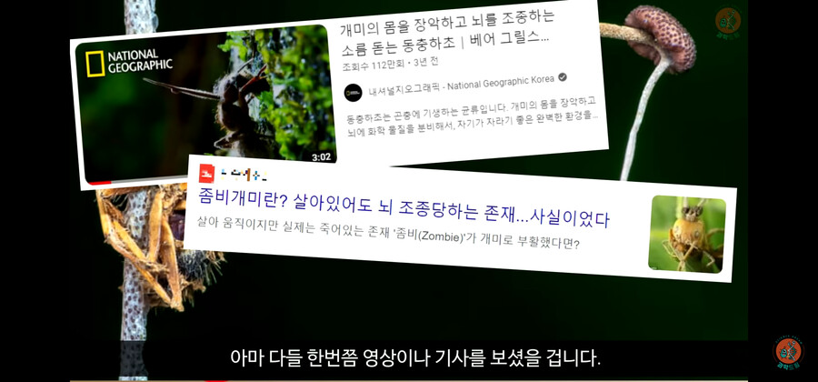 img/23/06/10/188a509b9ee498d19.png