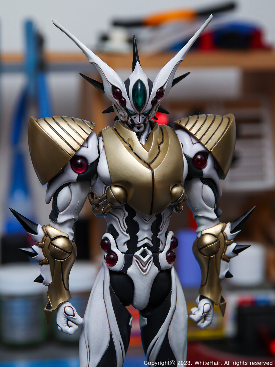 맥스팩토리 BFC 이마카람 미라빌리스_3.jpg