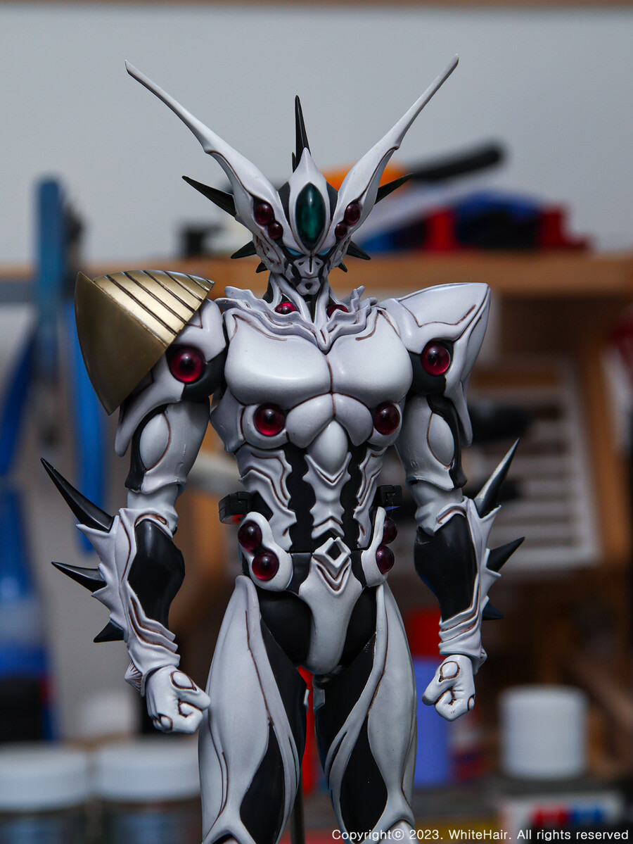 맥스팩토리 BFC 이마카람 미라빌리스_9.jpg