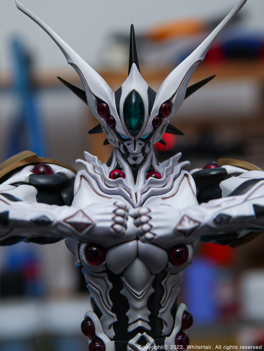 맥스팩토리 BFC 이마카람 미라빌리스_14.jpg