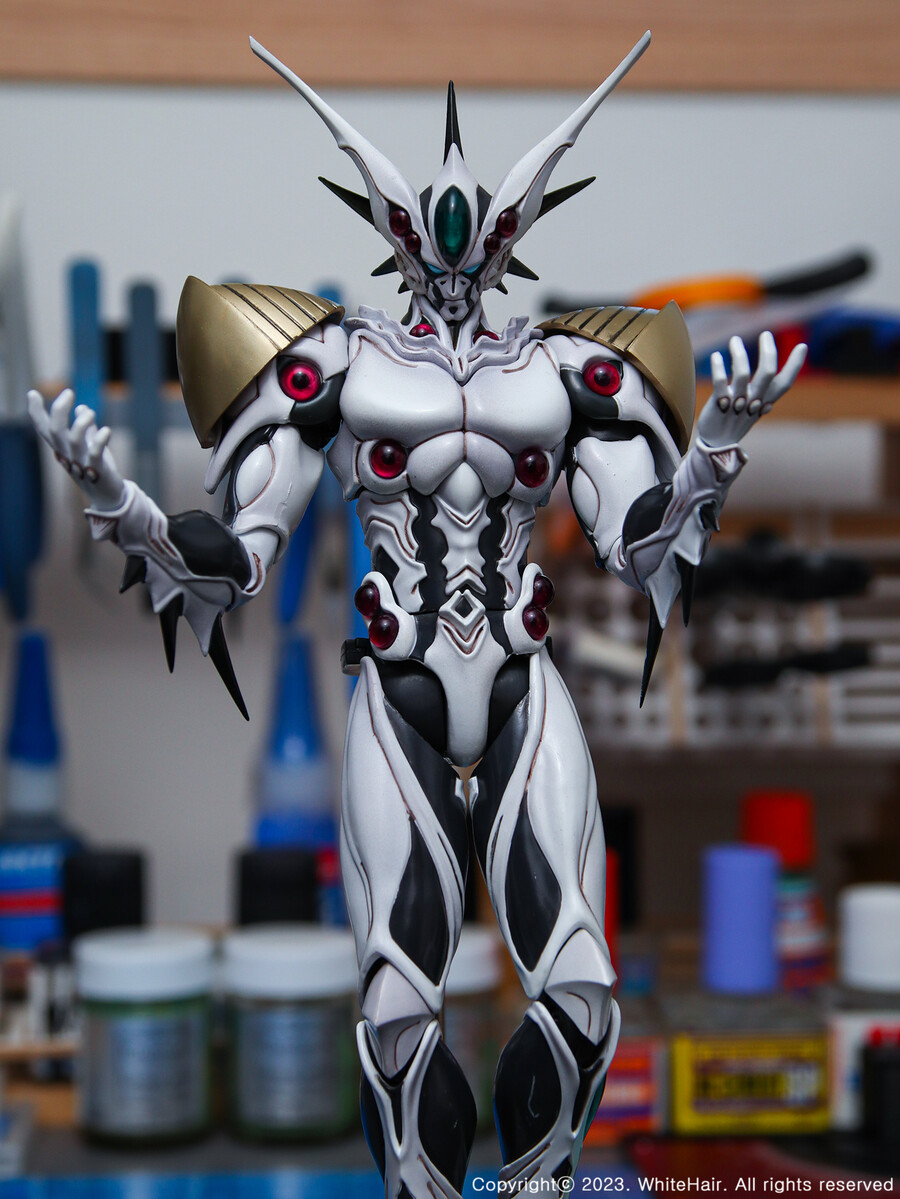 맥스팩토리 BFC 이마카람 미라빌리스_17.jpg