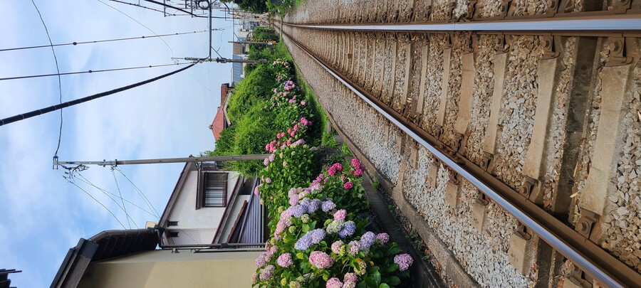 5박6일 도쿄 여행기 3부. 도쿄 영상은 인스타 031_sang 확인 가능해요_22.jpg