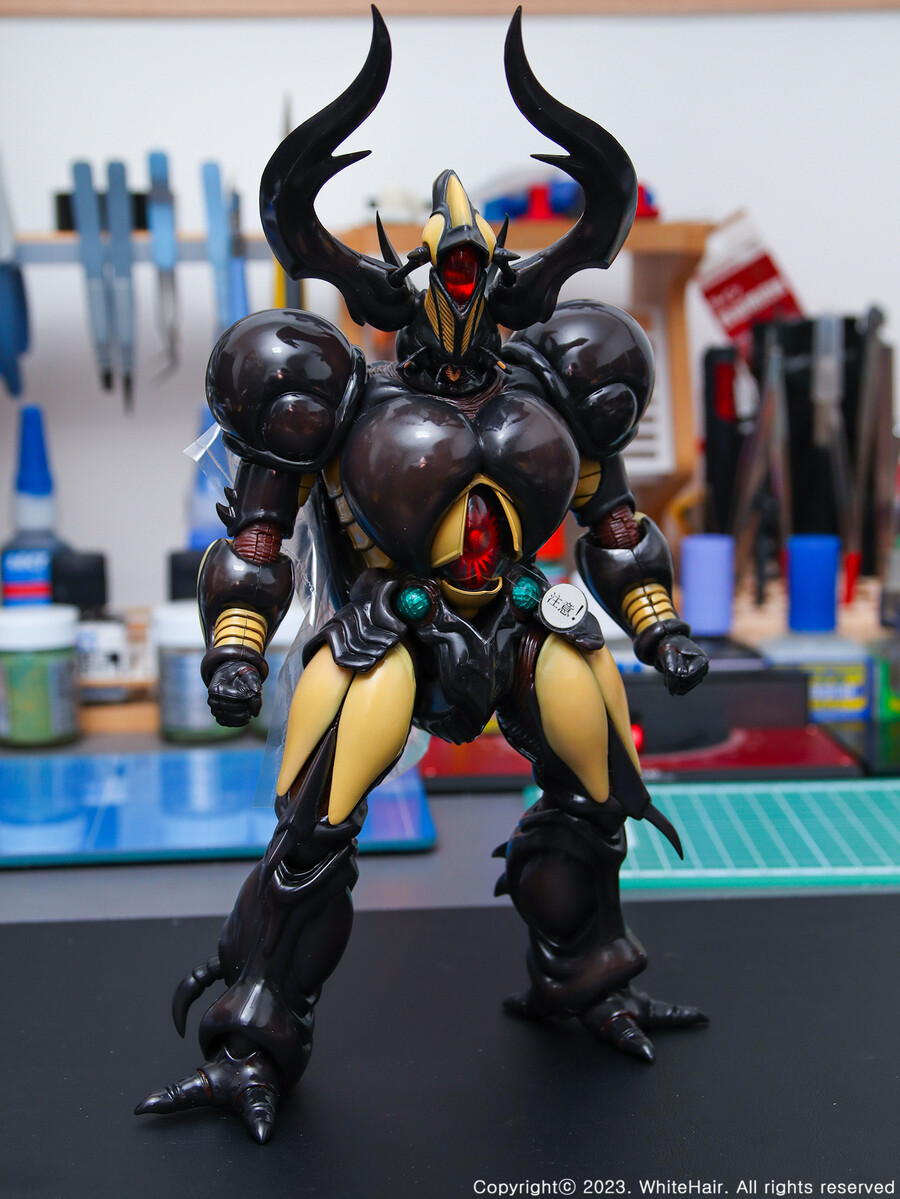 MaxFactory BFC 맥스팩토리 네오 젝토르_7.jpg