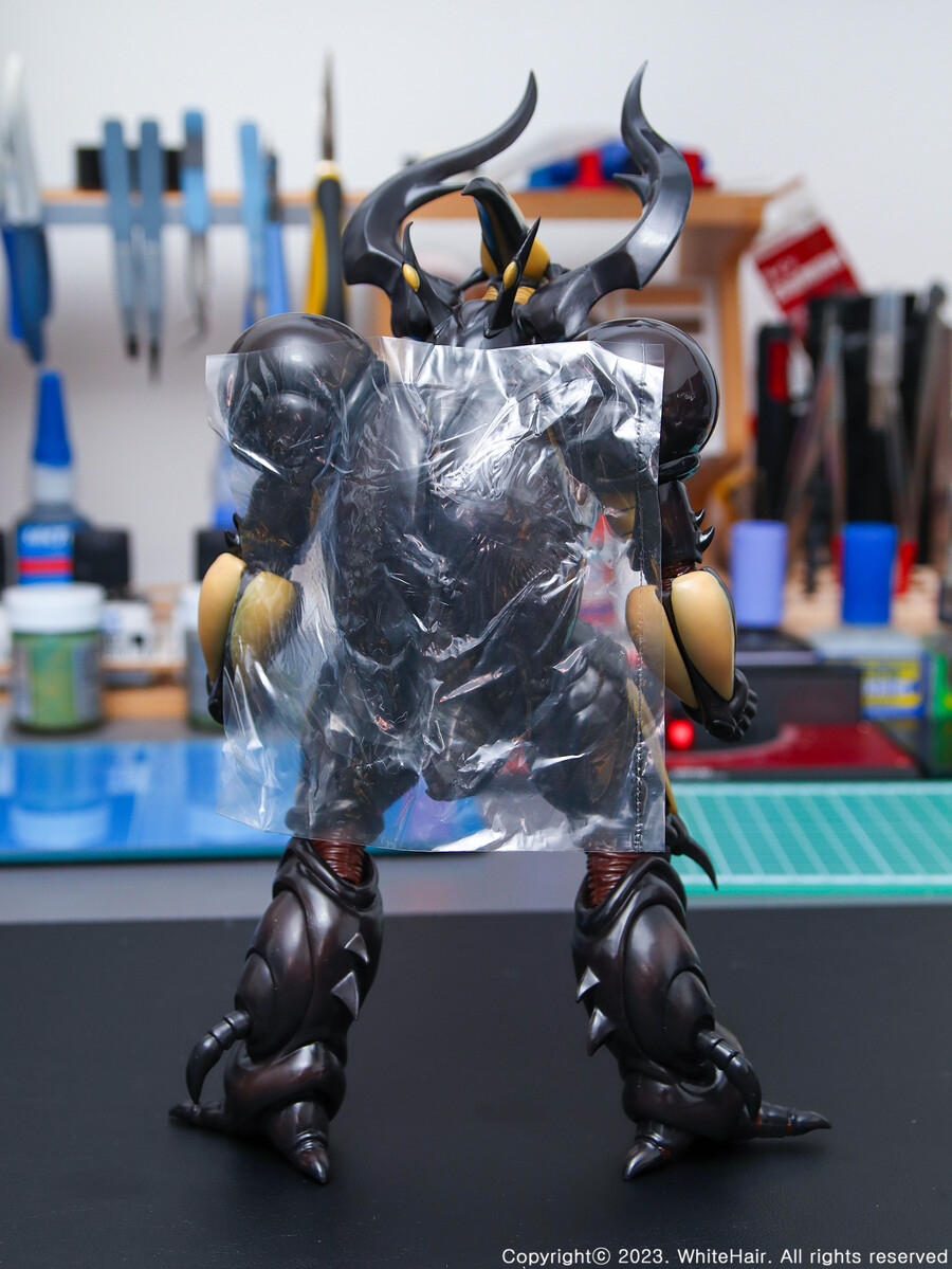 MaxFactory BFC 맥스팩토리 네오 젝토르_8.jpg