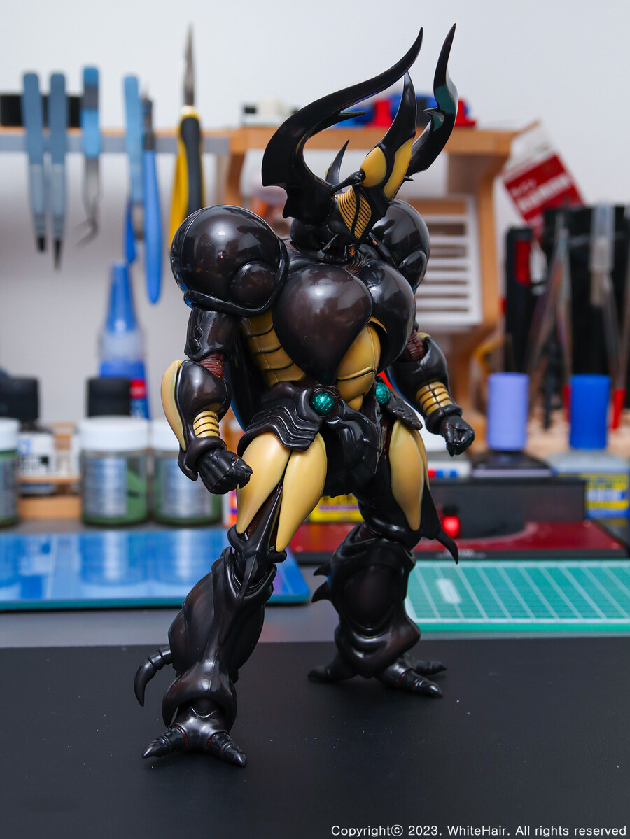 MaxFactory BFC 맥스팩토리 네오 젝토르_10.jpg