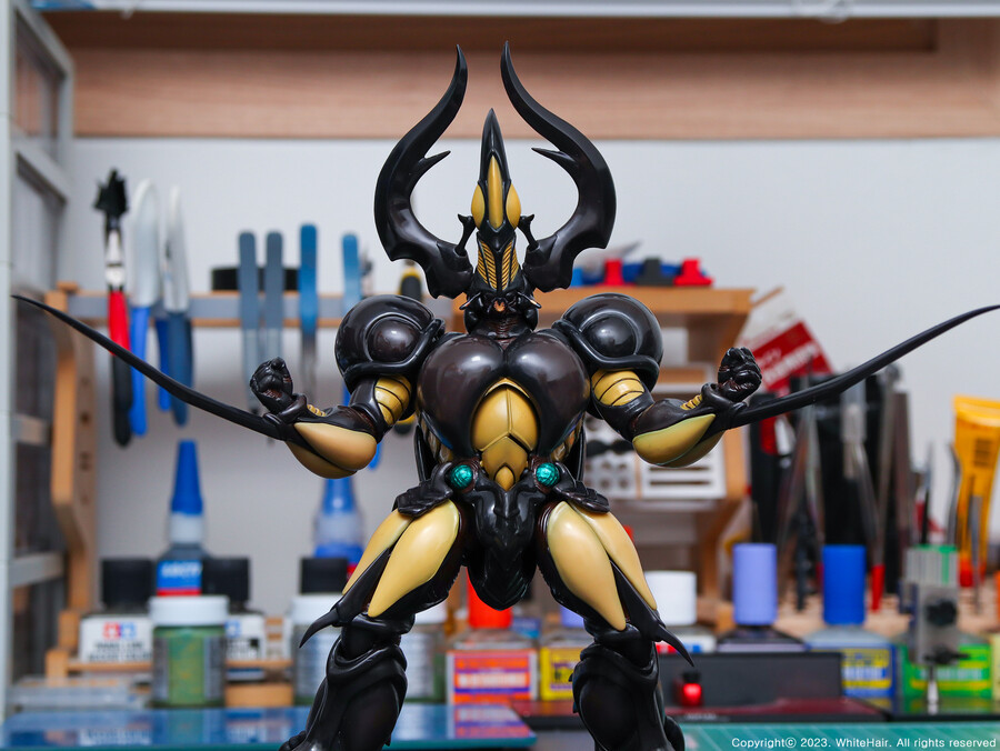 MaxFactory BFC 맥스팩토리 네오 젝토르_21.jpg