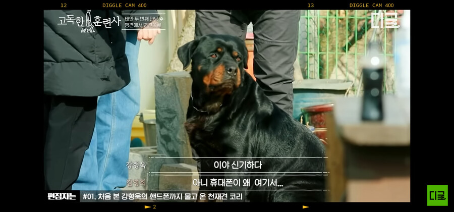 강형욱)도 놀란 맹명견_2.png