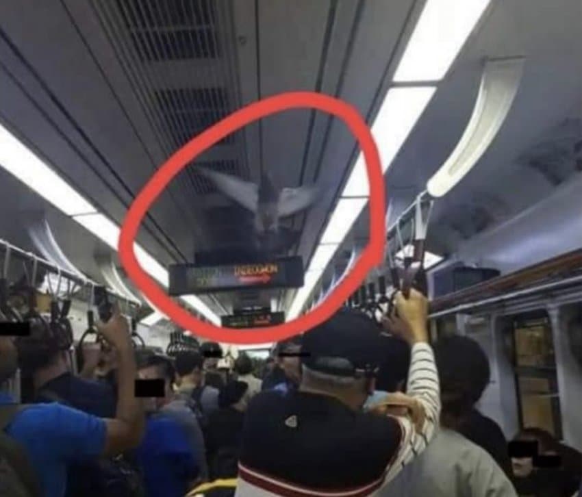 지하철 빌런 모음_5.jpg