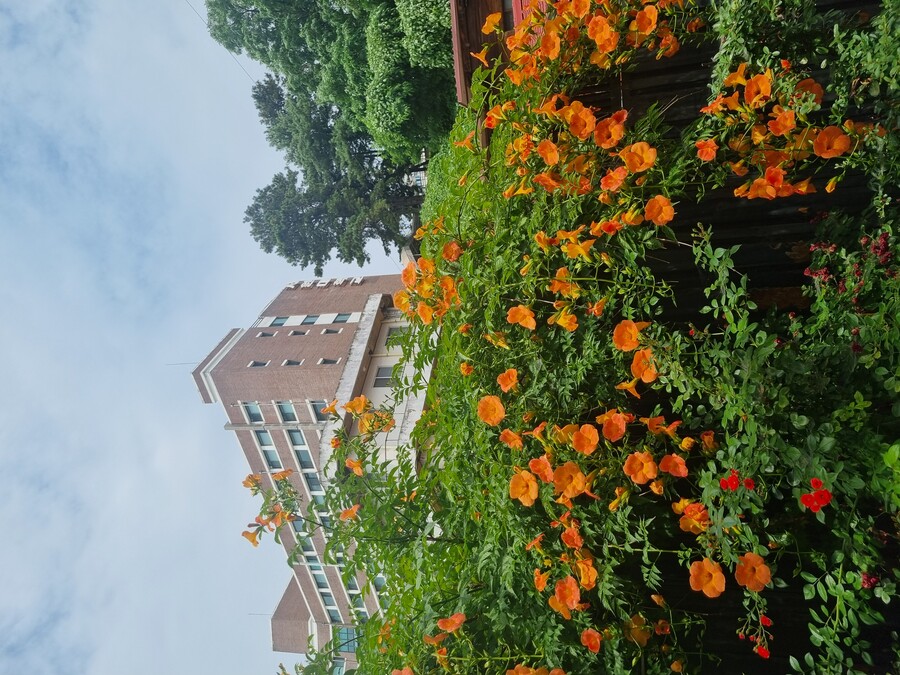 [청주] 김치찌개 혜자맛집 '임마누엘'_3.jpg