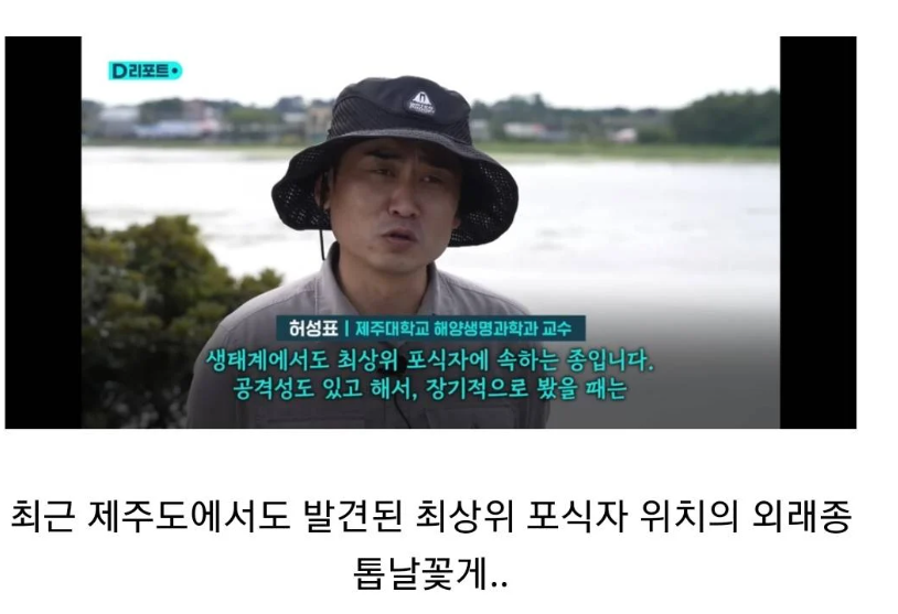 최근에 한반도로 유입된 외래종 근황.jpg_1.png