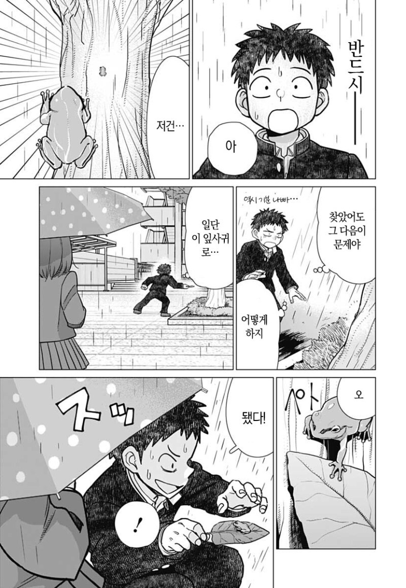 신경쓰이는 그 아이는 개구리를 좋아해 만화_21.jpeg