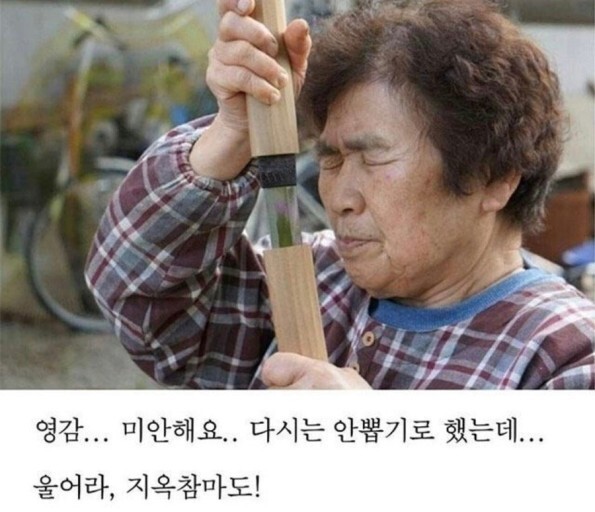 [도색완성] 토리팩토리 울어라 지옥참마도._1.jpg