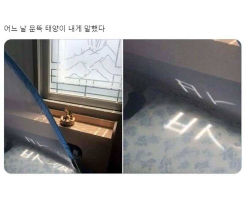 어느 날 문뜩 태양이 내게 말했다 | 유머 게시판 어느 날 문뜩 태양이 내게 말했다 | 유머 게시판 | 루리웹