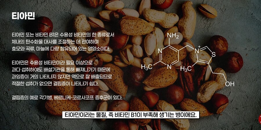 유독 일본 에도시대에 발생했다는 풍토병.jpg_17.jpg