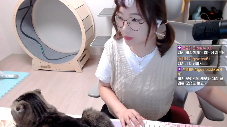 인방) 루시아: 고양이님 빨리 방송하게 내려가세용_3.png
