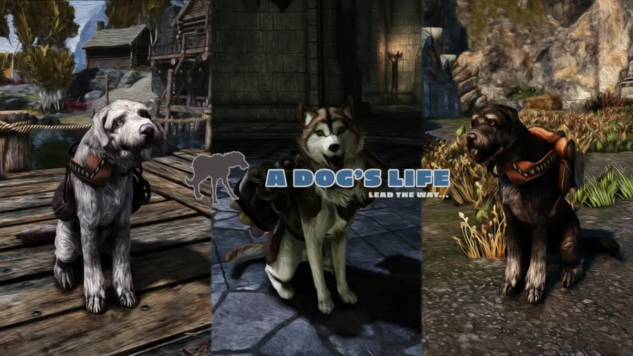 추천 - 개의 인생_1.webp