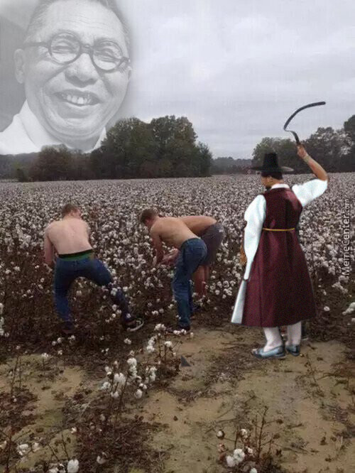 불닭볶음면 야끼소바 맛 후기_9.jpeg