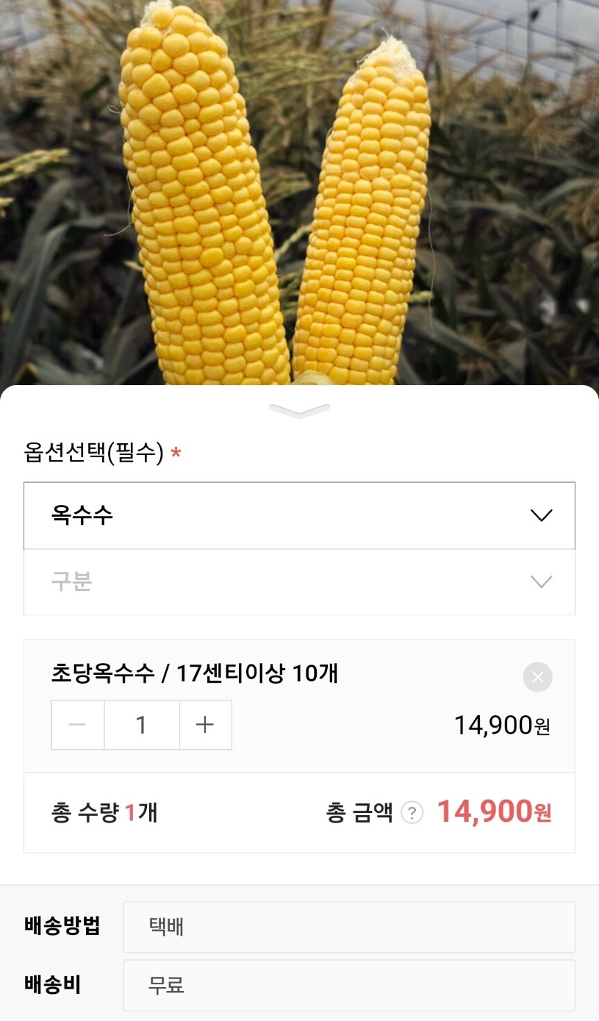 [네이버] 초당옥수수 초특품 17cm이상 특가 14900원(최저가)_2.jpg