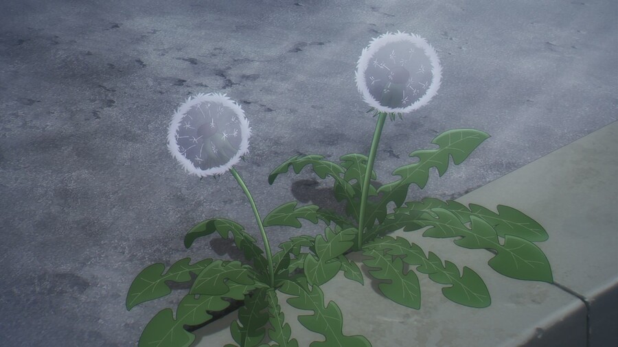 [스파이 패밀리 1기] 배경 미술 모음 (369장, 53MB)_270.jpg