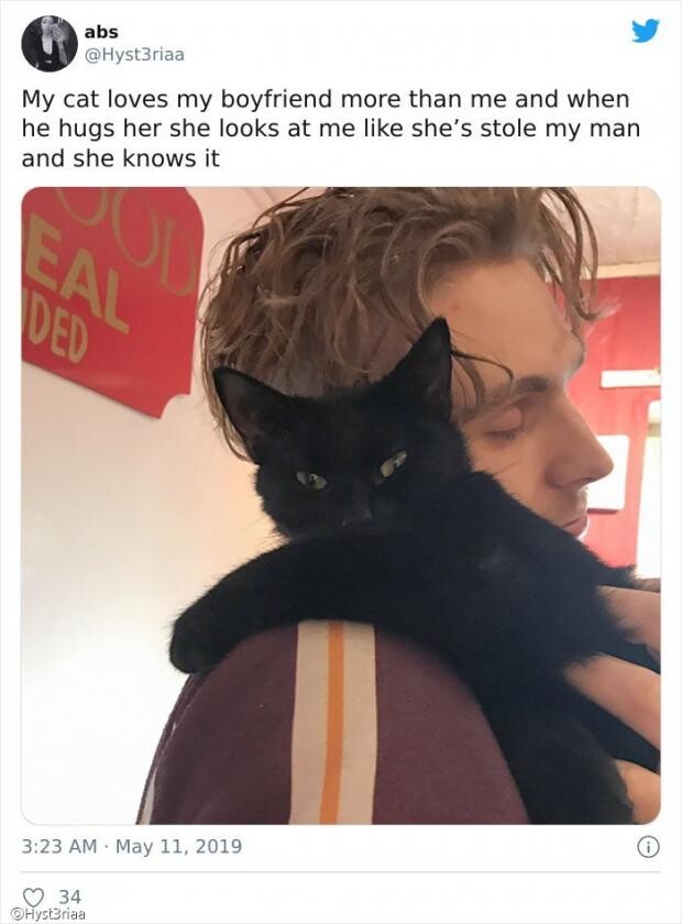 요망한 고양이_2.jpg