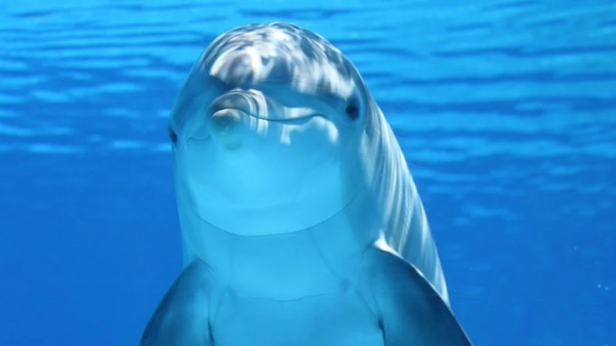 19)강한 짤 준비했다_4.jpg