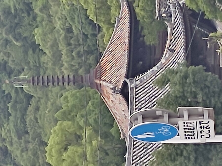 마츠야마 2_39.jpg