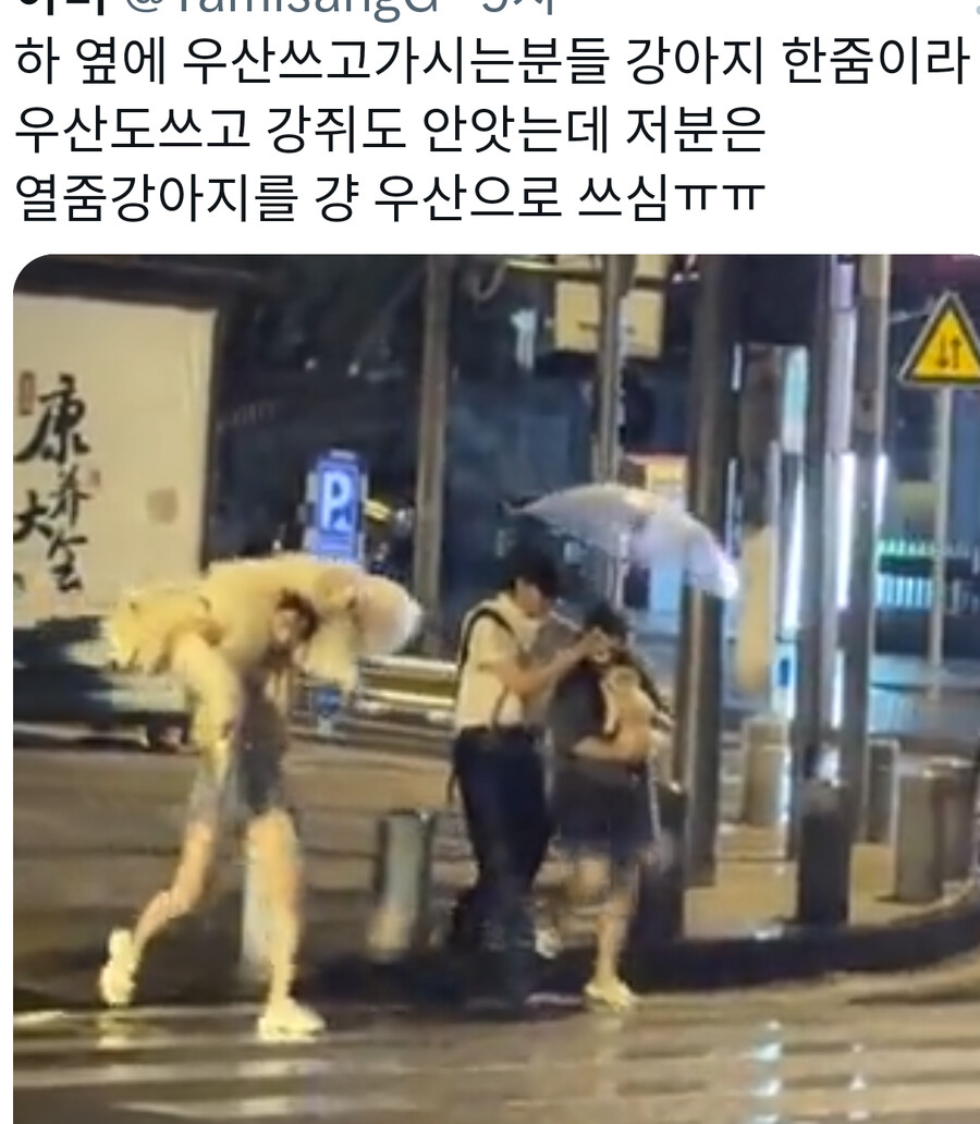 강아지 대우 차이_1.png