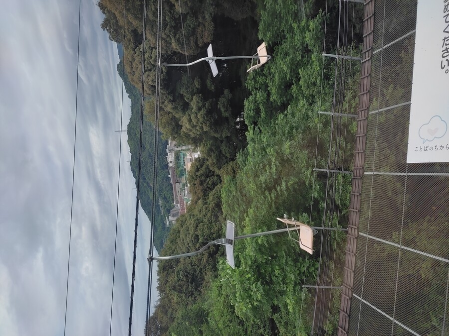 마츠야마 3_7.jpg