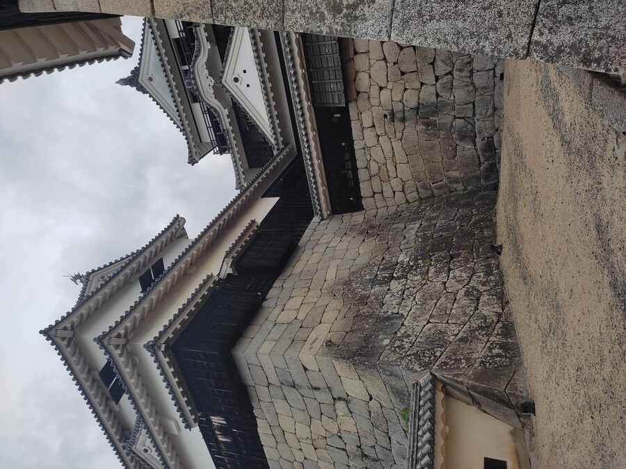 마츠야마 3_33.jpg