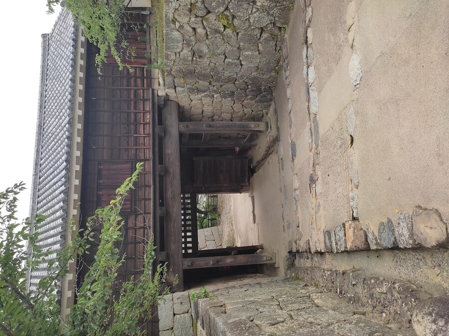 마츠야마 3_40.jpg