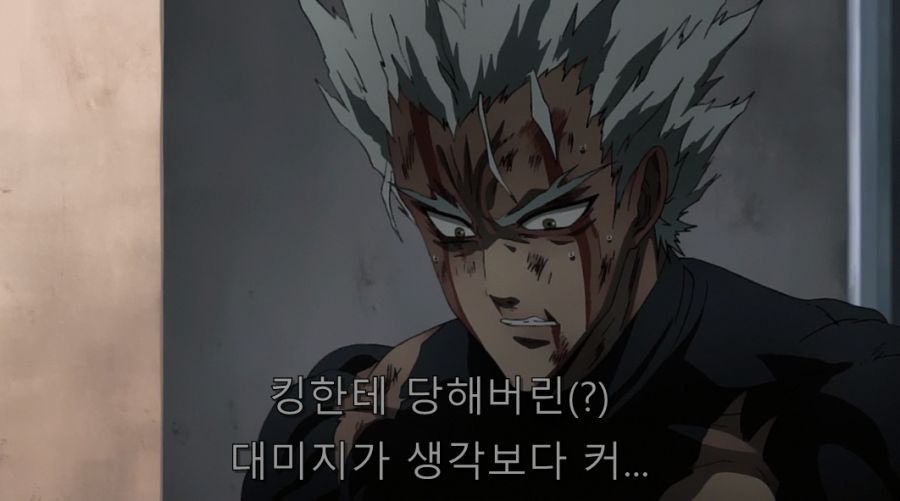 원펀맨) 킹에게 덤비는 가로우_19.jpg