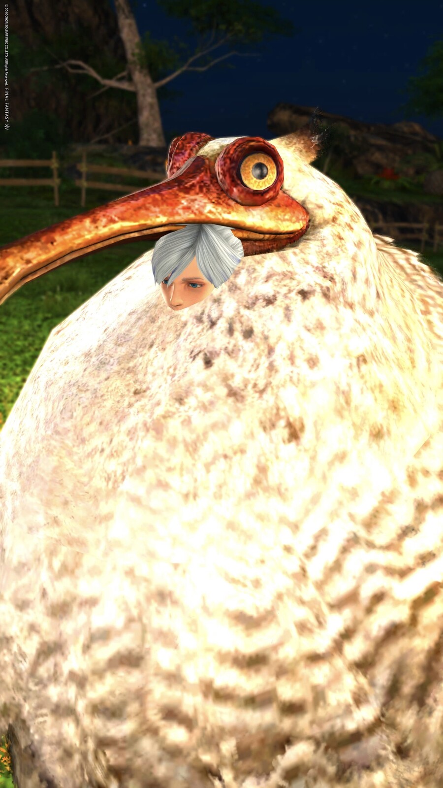 지브리)그대들 어떻게 살것인가 짤들_6.jpeg