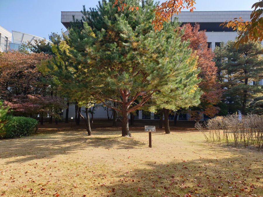 게관위) 나도 작년에 서명 갔다온 거 인증해봄_1.jpg