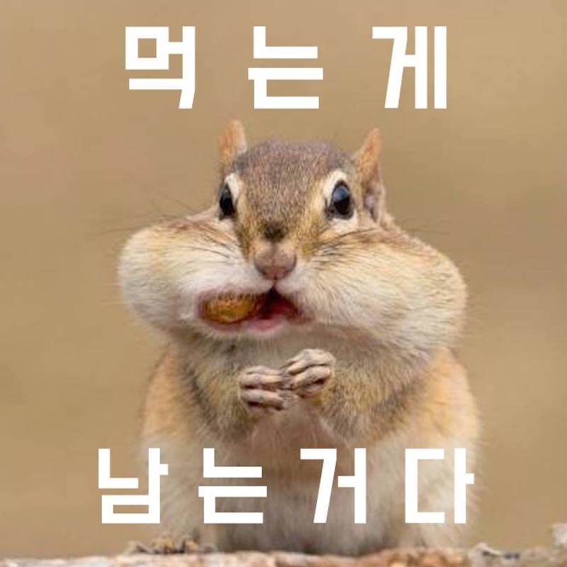 밥먹자 인생은 먹는게 남는거고 최고 행복임