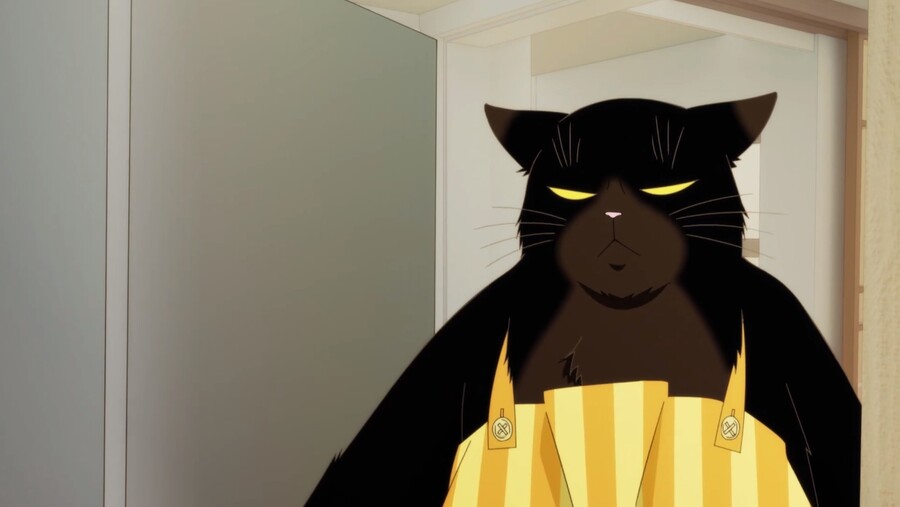 야무진고양이) 이 고양이 못하는게 뭘까_2.jpg