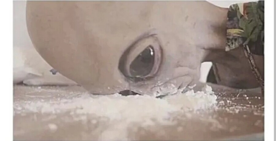 "이런게 있었는데 여태까지 말 안한거야? 독하다 독해 ㅋㅋㅋㅋ"_1.jpg