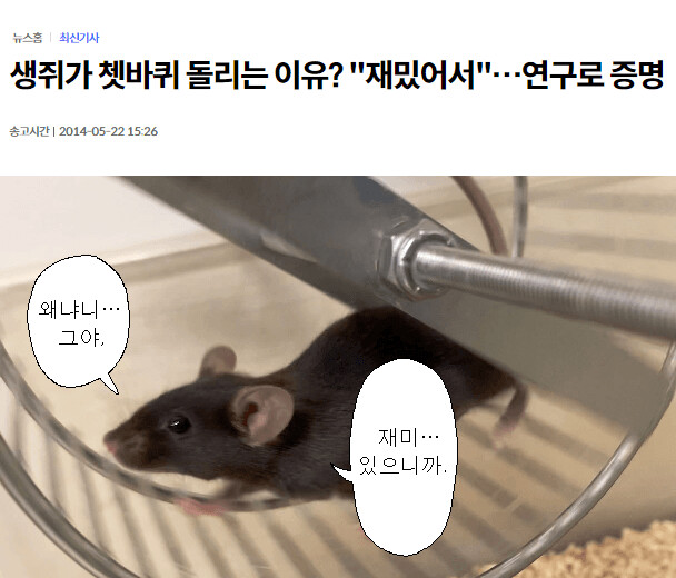 생쥐가 쳇바퀴 돌리는 이유.JPG_1.png