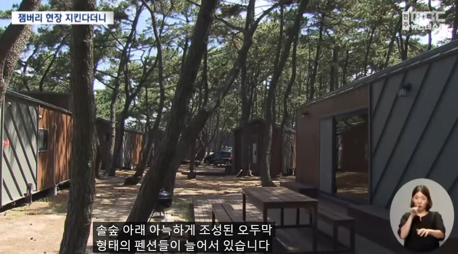 개판 오분전 잼버리 | 유머 게시판 개판 오분전 잼버리 | 유머 게시판 | 루리웹
