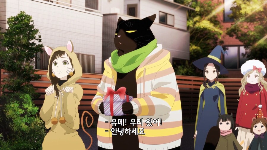 야무진고양이]고양이 퍼슈트 코스프레_1.jpg