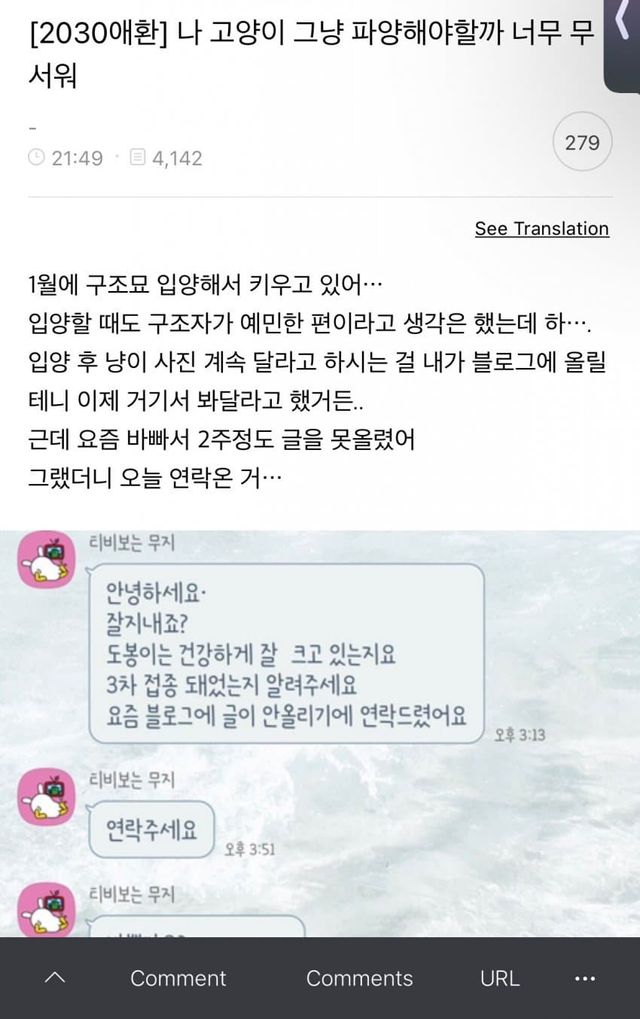 유기묘 입양 대신 펫샵가서 분양받아야 하는 이유.eu_1.jpg