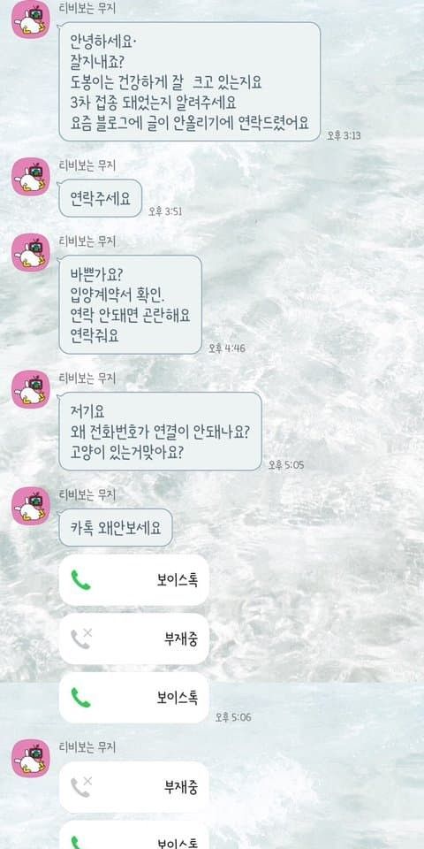 유기묘 입양 대신 펫샵가서 분양받아야 하는 이유.eu_2.jpg