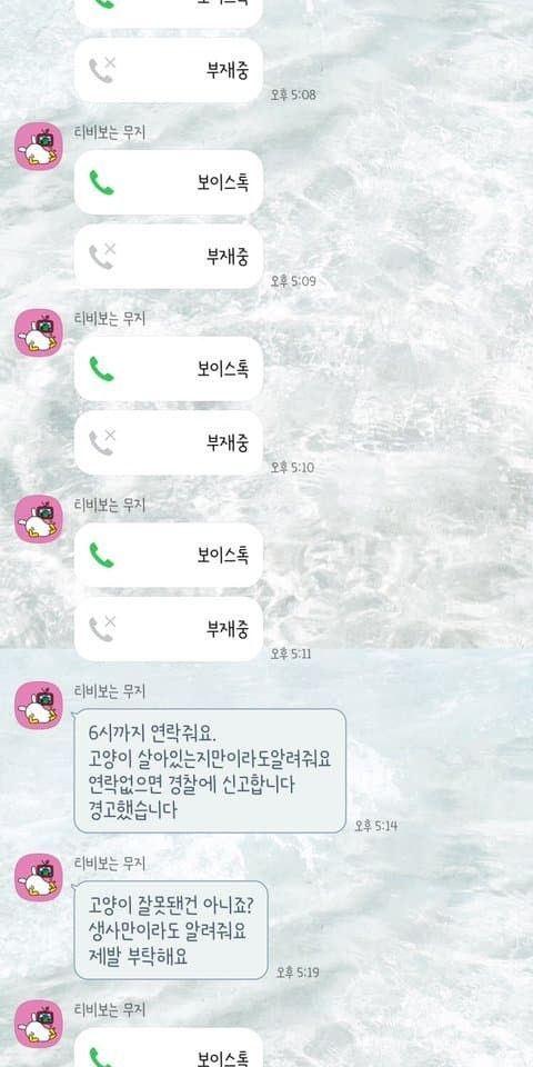 유기묘 입양 대신 펫샵가서 분양받아야 하는 이유.eu_3.jpg
