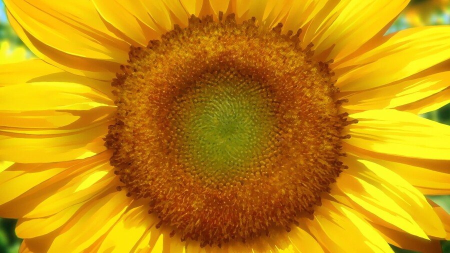 [버블] 배경 미술 모음 (166장, 32MB)_73.jpg