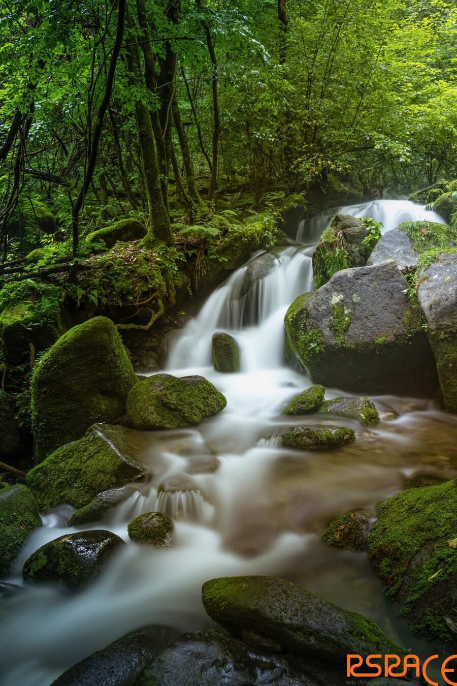 올해 찍은 사진들 (스압 65장)_13.jpeg