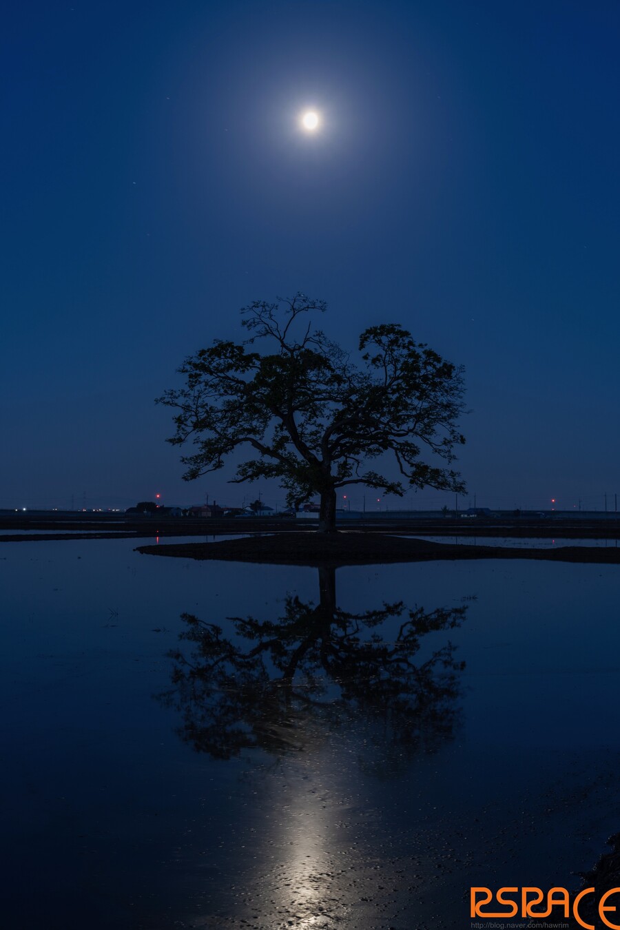 올해 찍은 사진들 (스압 65장)_16.jpeg