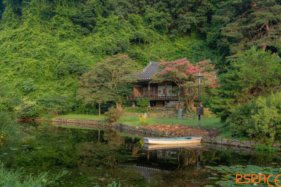 올해 찍은 사진들 (스압 65장)_32.jpeg